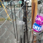 11月16日（日曜日）右丁字路の右側