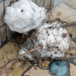 2月10日（火曜日）サーバーのキャパの問題か？大人の事情か？