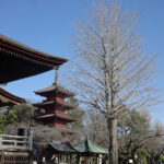 2月19日（木曜日）最終的な確認