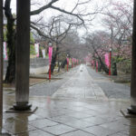 2月25日（水曜日）最終チェックも終了