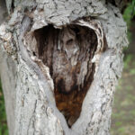 2月26日（木曜日）床屋にも行けた