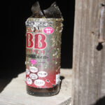 3月15日（日曜日）久しぶりのCT125 HUNTER Cub